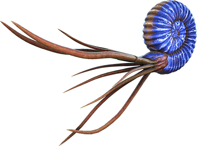 Ammonite Image
