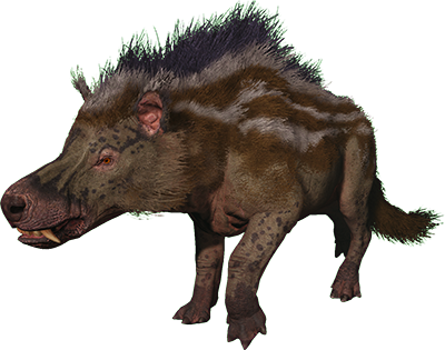 Andrewsarchus Image