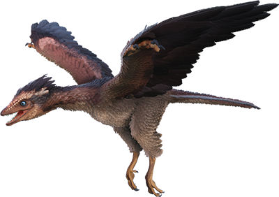 Archaeopteryx Image
