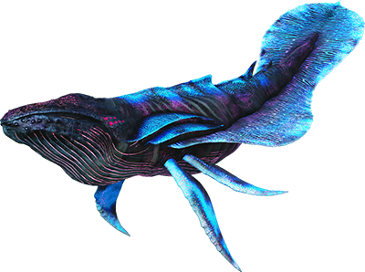 Astrocetus Image