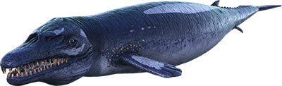 Basilosaure Image