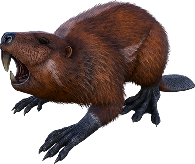 Castoroides Image