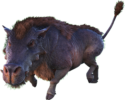 Daeodon Image