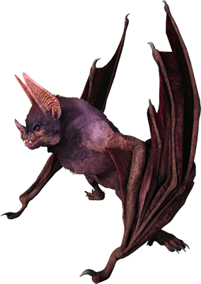 Desmodus Image