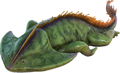 Diplocaulus Image