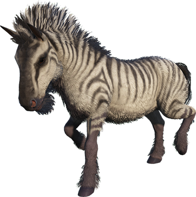Equus Image