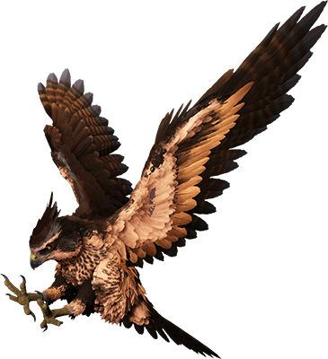 Fjordhawk Image