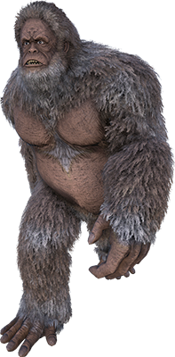 Gigantopithèque Image