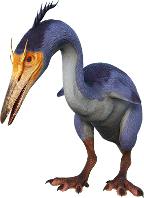 Hesperornis Image