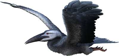 Ichthyornis Image