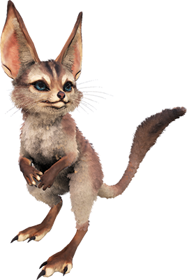 Jerboa Image