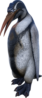 Kairuku Image