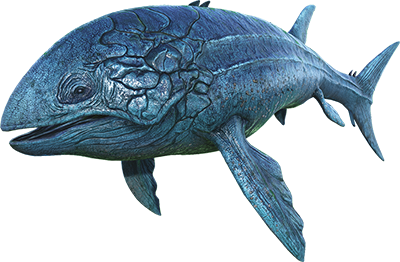 Leedsichthys Image