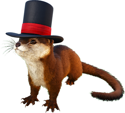 Loutre Image