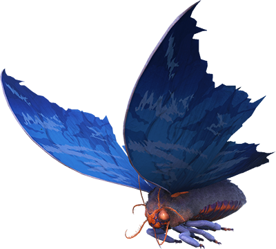 Lymantria Image