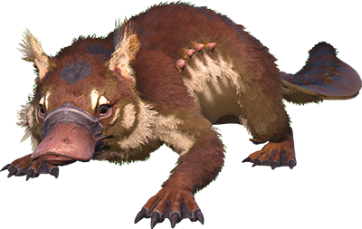 Maewing Image