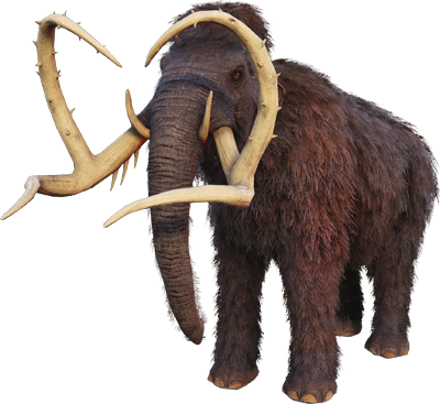 Mammouth Image