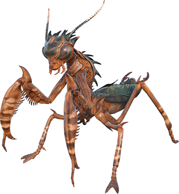 Mantis Image