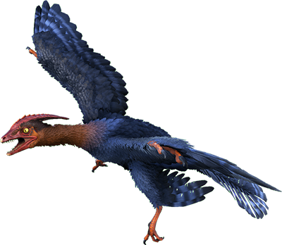 Microraptor Image
