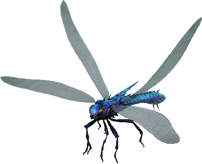 Méganeura Image