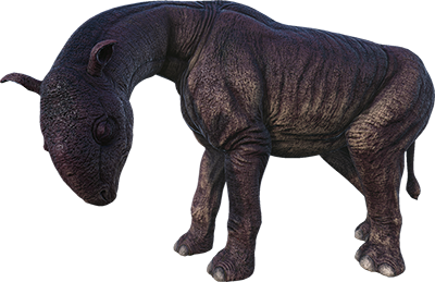 Paraceratherium Image