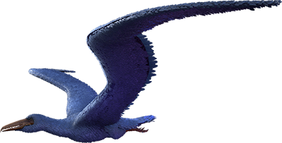 Pelagornis Image