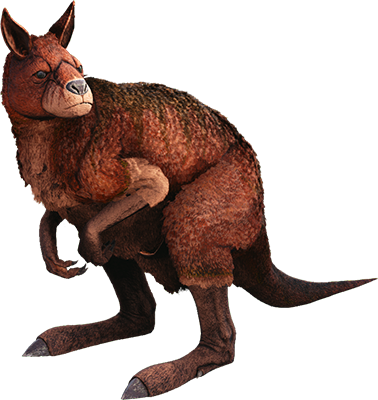 Procoptodon Image