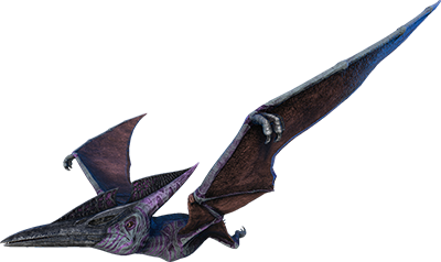 Ptéranodon Image