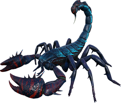 Pulmonoscorpius Image