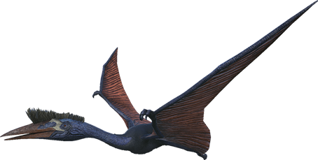 Quetzal Image