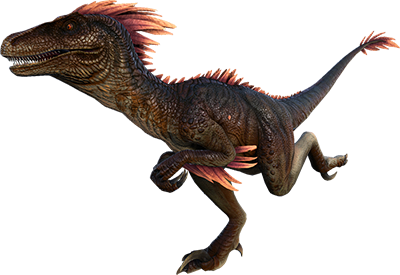 Raptor Image