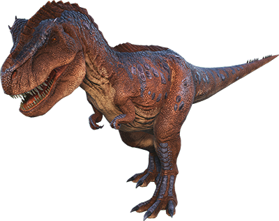 Rex Image