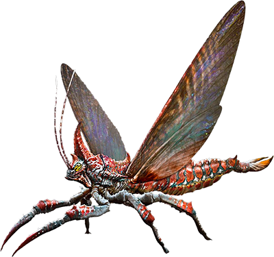 Rhyniognatha Image