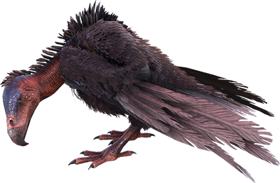 Vautour Image